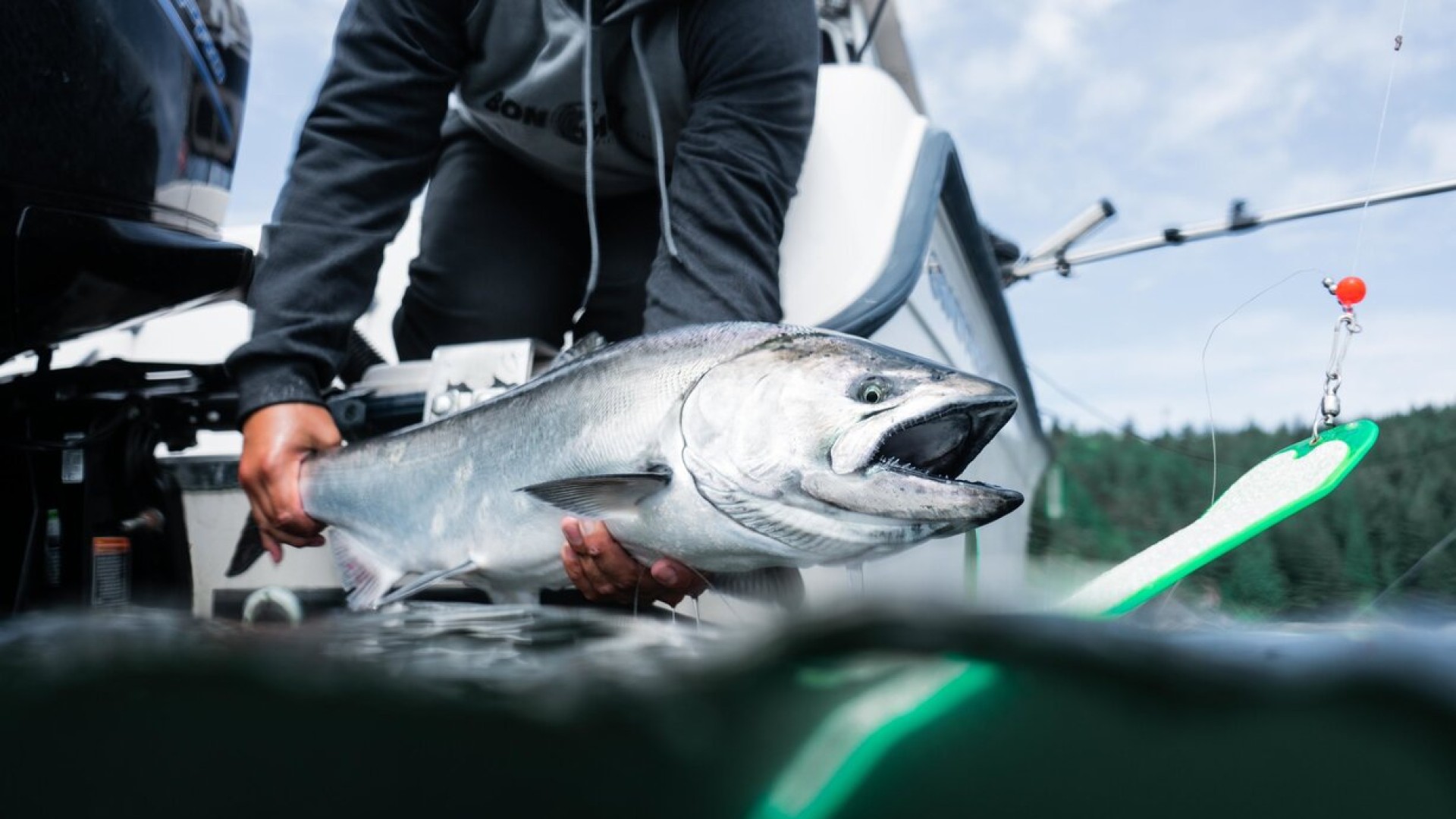 Islander MR3 Mooching Reel – The World's Top Salmon Fishing Reel